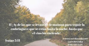 versiculo biblico