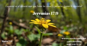 versiculo biblico servitevenka