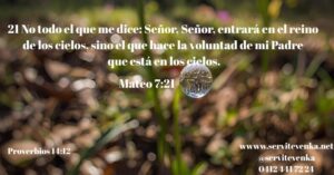 versiculo biblico servitevenka